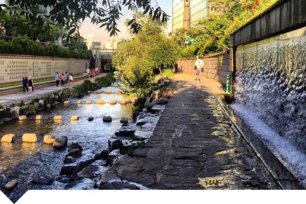 river with greenery and urban environment