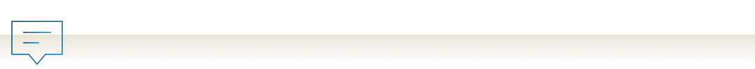 chat icon