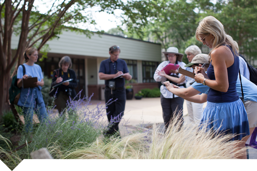 Students surrounding a garden taking notes and photographs