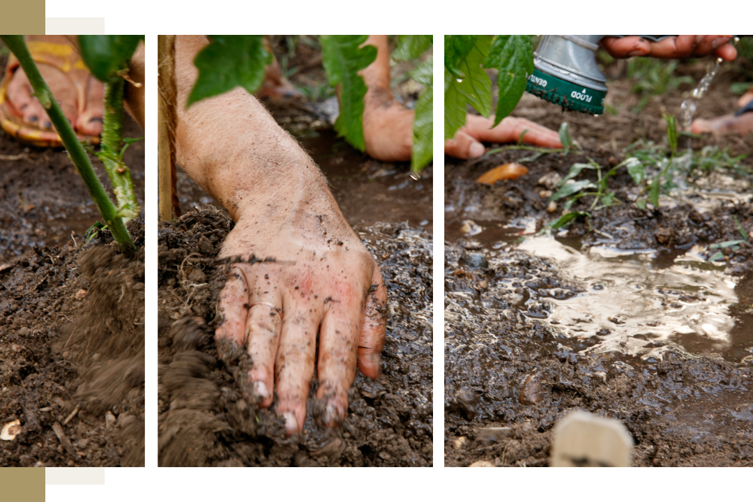 garden hose beside hands digging in dirt